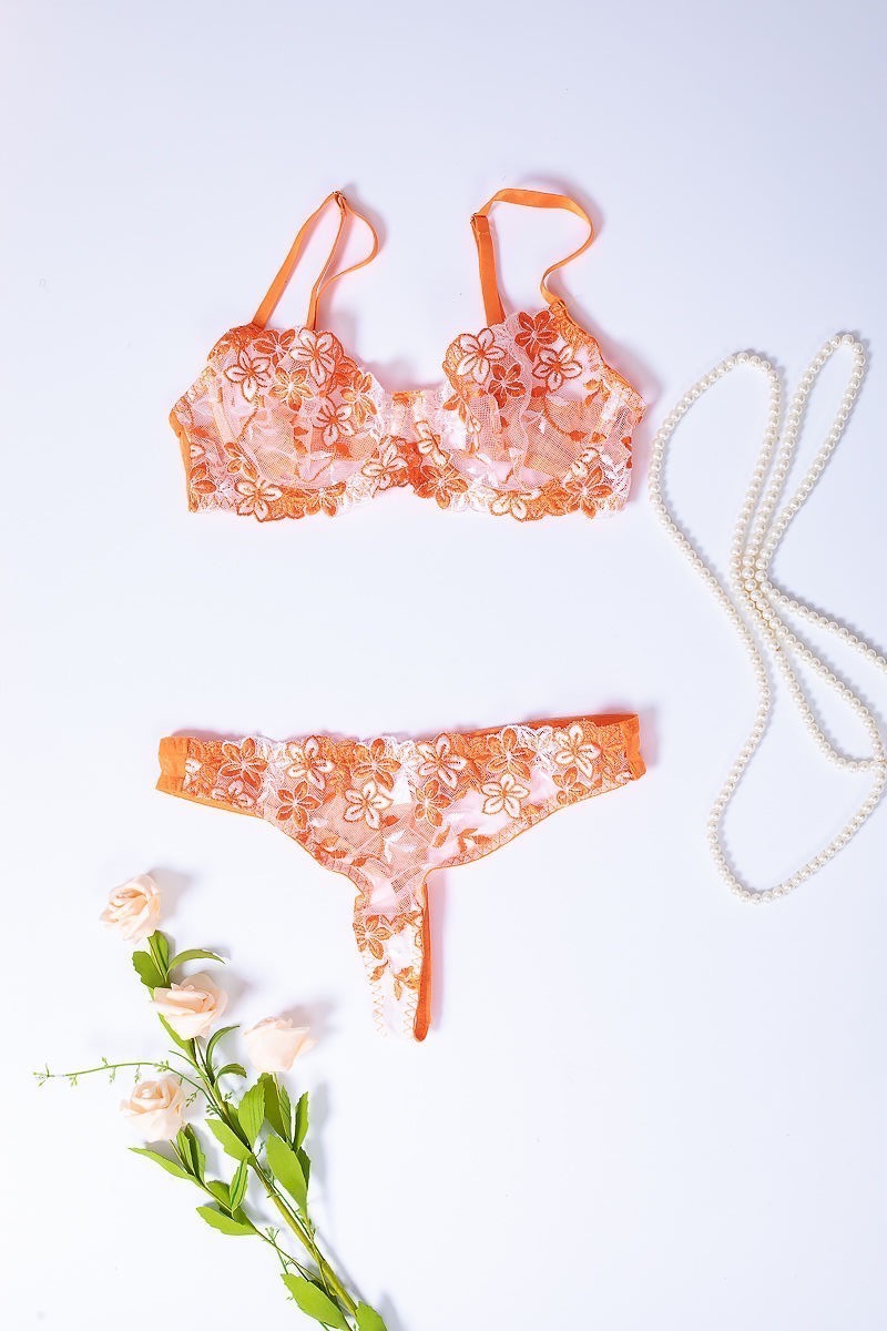 Dreamy Delight